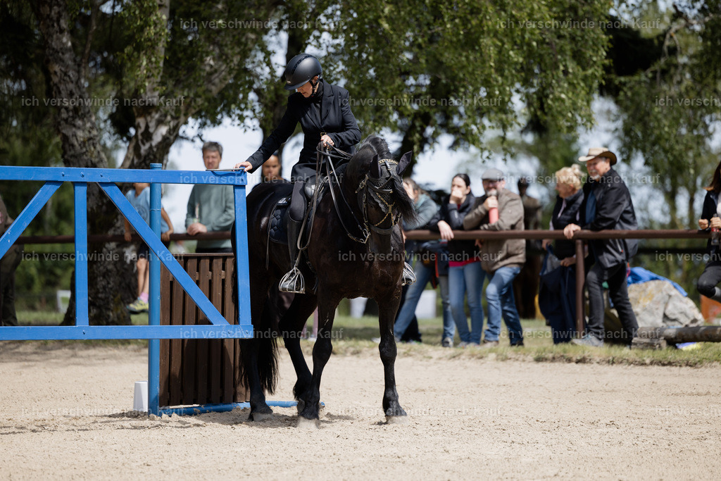 KlasseM_stoibphotography_C2_C8989.CR3 | working equitationturnier fotograf videograf stoibphotography marixx film working equitation deutschland reitsport turnierfotografie eventfotografie equestrian events
