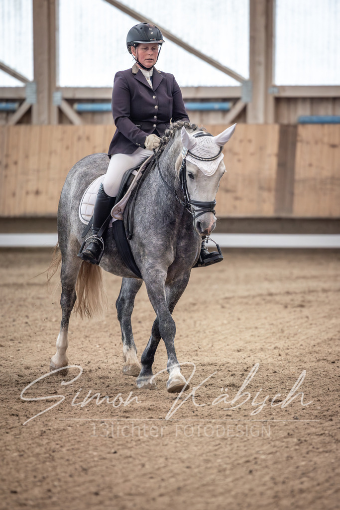 20251011-_3LI9244 | Tierfotografie Pferde, Hunde, Katzen, Haustiere.
Turnierfotografie Reitturniere, Reiten, Springreiten, Dressur in Hanau, dem Main-Kinzig-Kreis und dem Rhein-Main- Gebiet um Frankfurt