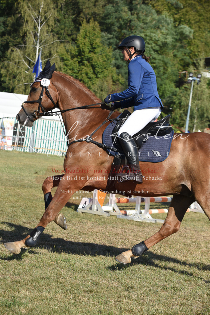 DSC_5341 | Pferde- und Turnierfotografie in Westsachsen. Pferdeportraits, Auftragszeichnungen und intuitive Kunst.