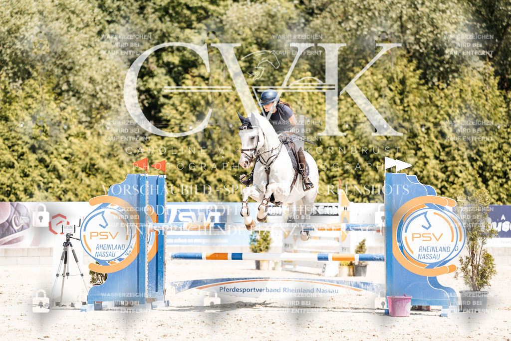 CK900800 | Turnierfotografie Pferdefotografie Trier Rheinland-Pfalz Pferdesport Reitsport Tierfotografie Sportfotografie Pferdevideo Pferdevideografie Equestrianvideography equestrianphotography  - Realisiert mit Pictrs.com