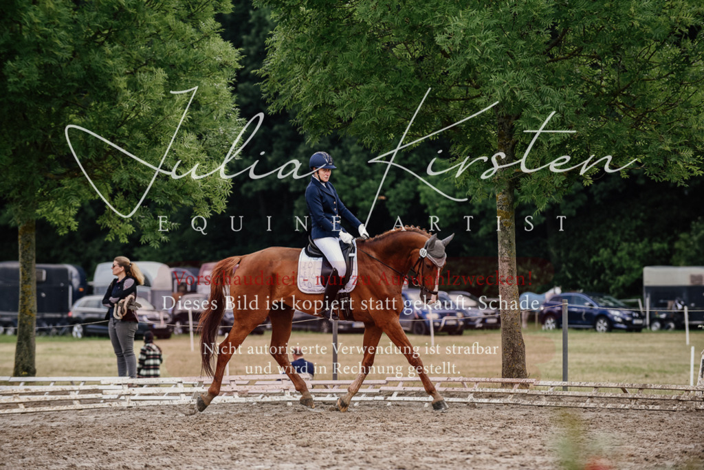 DSC_9930 | Pferde- und Turnierfotografie in Westsachsen. Pferdeportraits, Auftragszeichnungen und intuitive Kunst.