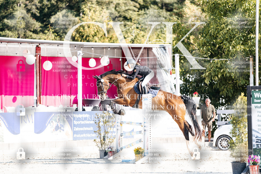 CK901931 | Turnierfotografie Pferdefotografie Trier Rheinland-Pfalz Pferdesport Reitsport Tierfotografie Sportfotografie Pferdevideo Pferdevideografie Equestrianvideography equestrianphotography  - Realisiert mit Pictrs.com