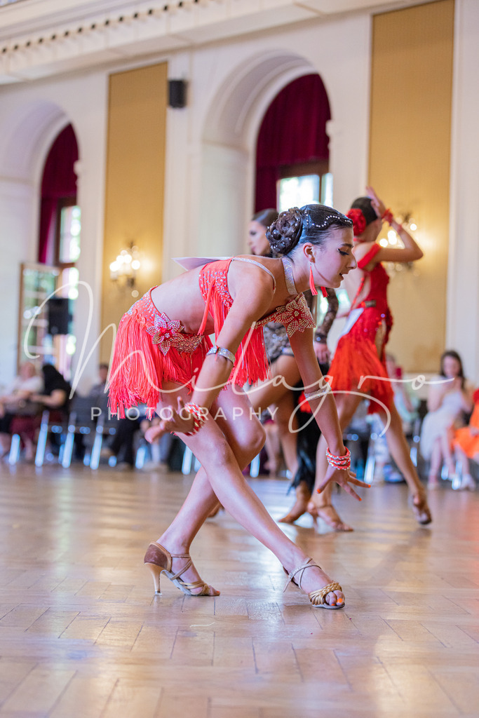 MainzPalaceOpen-832 | milagro-photography