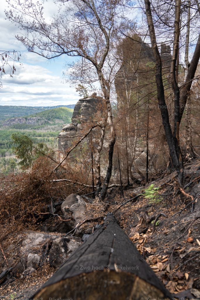 Obere_Affensteinpromenade_Nahe_Siegfried_Bergfried_Hausberg | 2022-09-02_Waldbrandgebiete_2 - Realisiert mit Pictrs.com