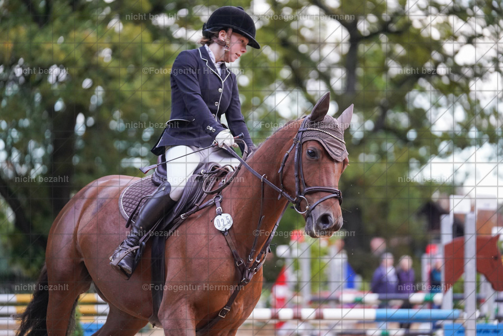20221009-FAH08244 | Diessen am Ammersee, 2022, Dressur- und Springturnier, Reitsportbilder, Turnierfotografen Bayern, Pferdefotografen, Fotoagentur Herrmann, Turnierbilder