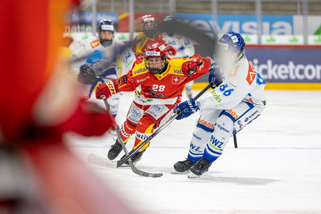 EHC Biel-Bienne vs GCK Lions - 25. November 2024 | EHC Biel-Bienne vs GCK LionsTissot Arena, Biel-BienneBild: Waltraud Blaurock | Blaurock Pix