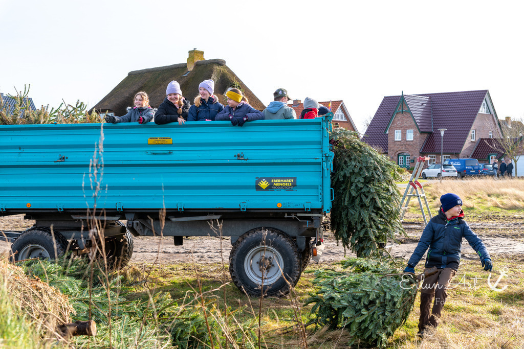 EAF_1967 | Eilun-Art-Fotografie Levke Martens, ihre Fotografin für Immobilien- und Landschaftsfotografie auf Föhr, Föhrer Motive als Poster, Leinwand, hinter Acrylglas oder stelle dir deinen eigenen Monatskalender zusammen, mit nur einem Klick
