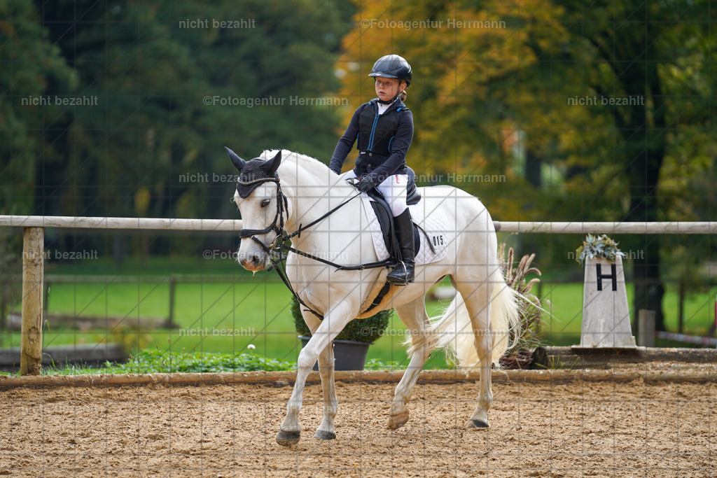 20221008-FAH01202 | Diessen am Ammersee, 2022, Dressur- und Springturnier, Reitsportbilder, Turnierfotografen Bayern, Pferdefotografen, Fotoagentur Herrmann, Turnierbilder
