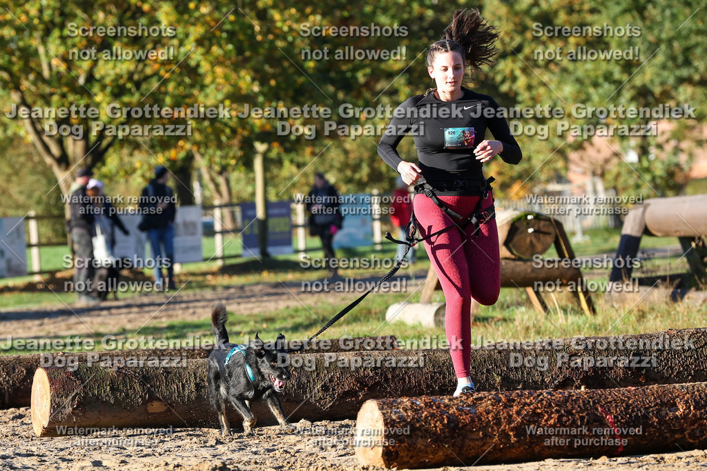 Dog Paparazzi - Strongdog 10-25-958 | Dog Paparazzi Jeanette Grottendiek Fotografie & Videografie - Realisiert mit Pictrs.com