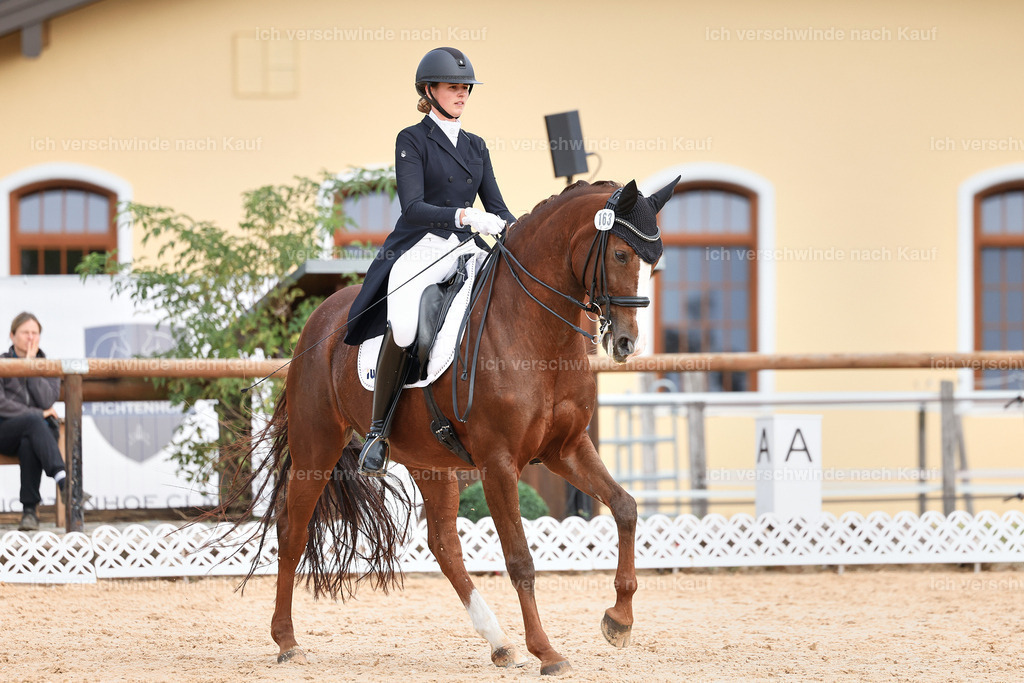 6-163-AMATUER-DRESSUR S_  -StoibPH-3473 | working equitationturnier fotograf videograf stoibphotography marixx film working equitation deutschland reitsport turnierfotografie eventfotografie equestrian events