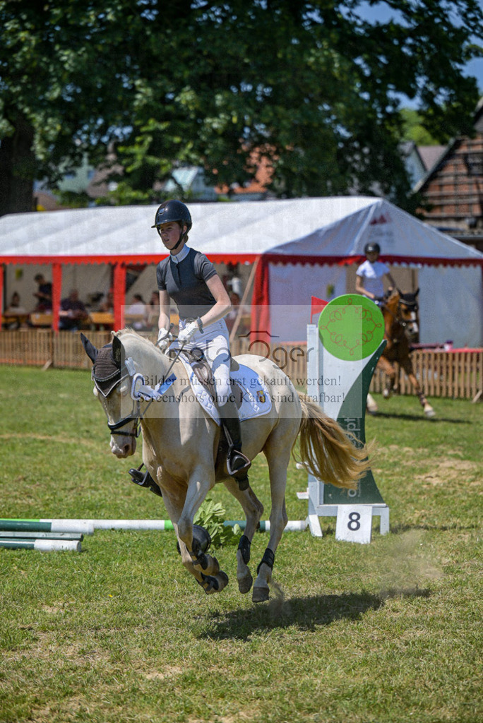 Reitturnier Voxtrup | Entdecke hochwertige Reitturnierfotos von Foto Oger. Professionell, emotional und authentisch – jetzt Lieblingsmomente im Shop bestellen.Deutschlandweite Turnierfotografie. - Realisiert mit Pictrs.com