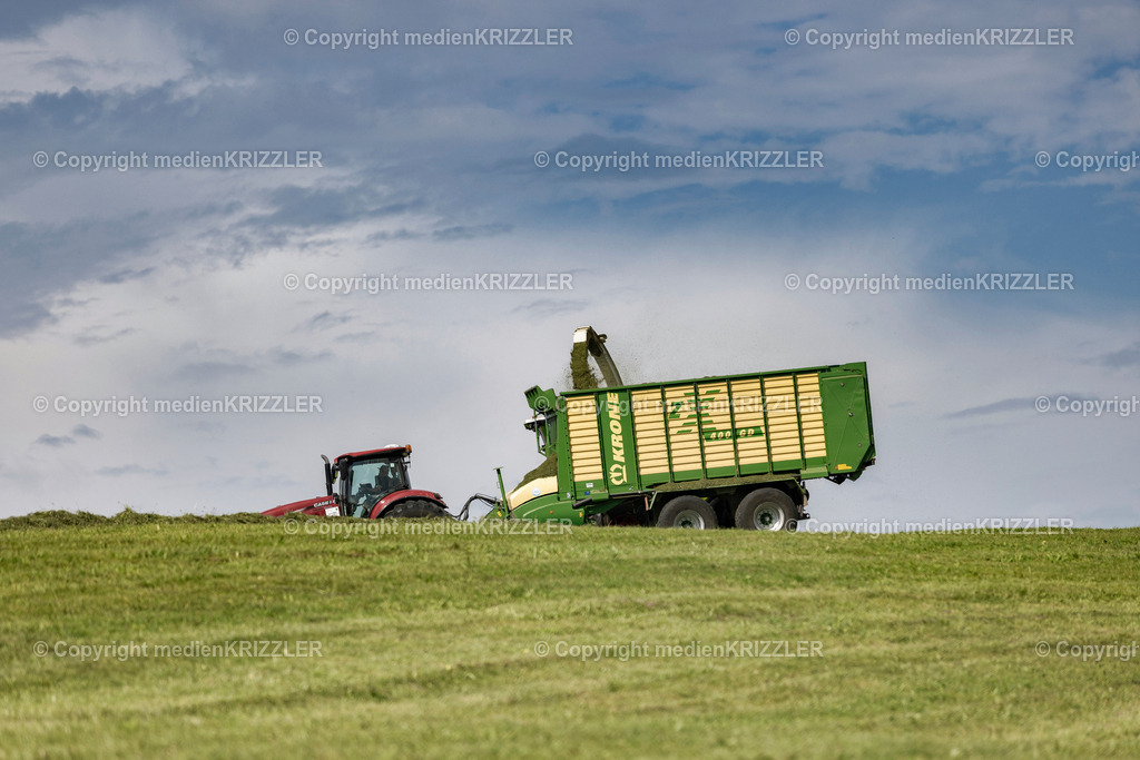 _J3A2225 | medienkrizzler - Realisiert mit Pictrs.com