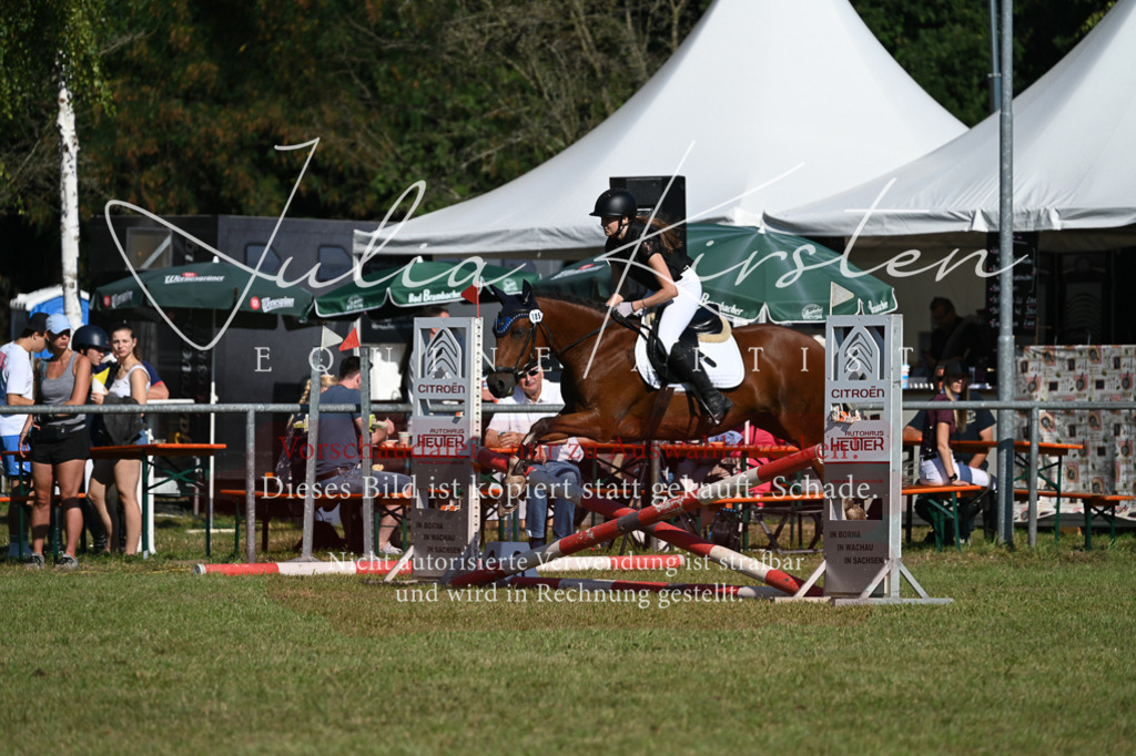 DSC_5352 | Pferde- und Turnierfotografie in Westsachsen. Pferdeportraits, Auftragszeichnungen und intuitive Kunst.