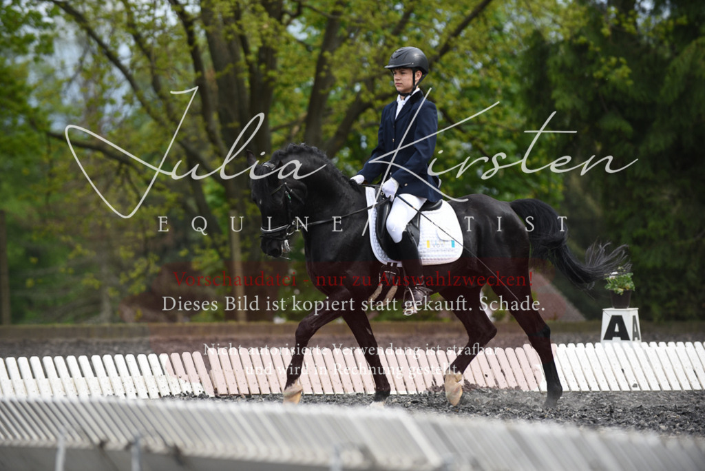 20230513_JK-Röhrsdorf-16-282 | Pferde- und Turnierfotografie in Westsachsen. Pferdeportraits, Auftragszeichnungen und intuitive Kunst.