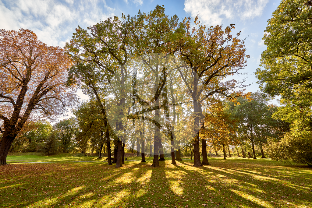 Parkanlagen im Herbst in Wolfenbüttel | Meurer Shop - Realisiert mit Pictrs.com