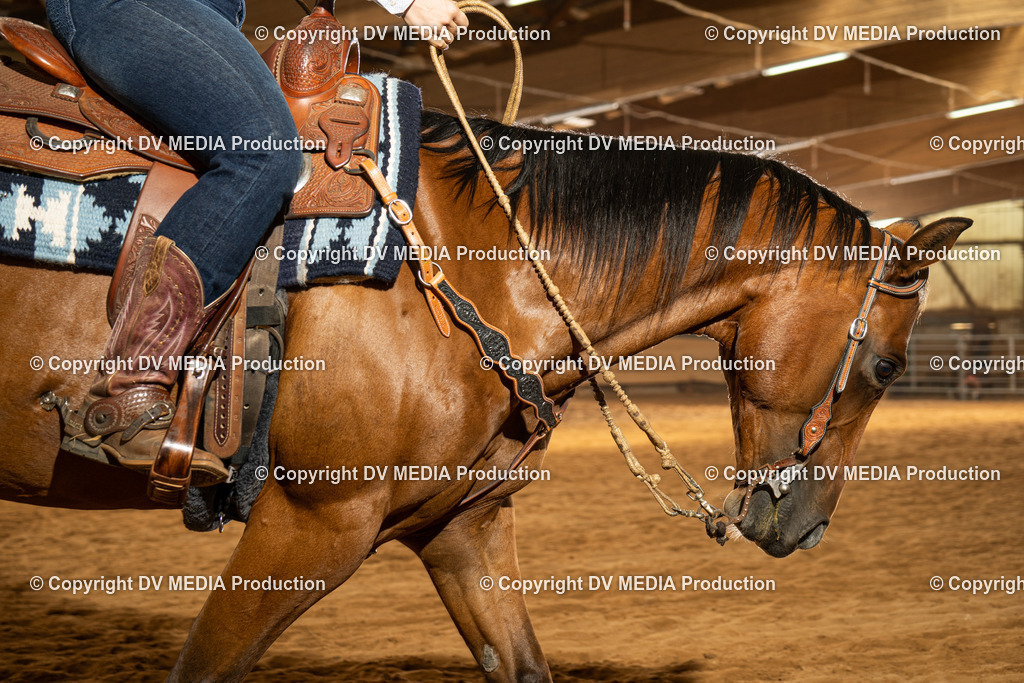 NID01691 | dv-media-shop - Realisiert mit Pictrs.com