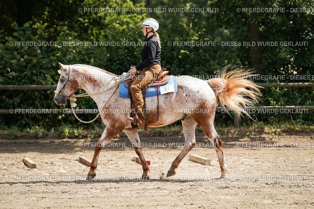 DSC06392 | Pferdegrafie