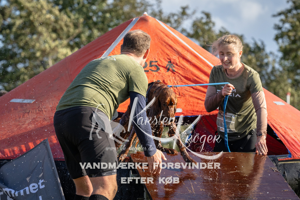 1455-90377 | kk-dogfotos