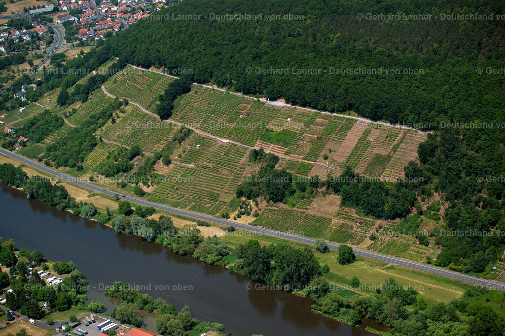 3502346 | Weinberge bei Klingenberg