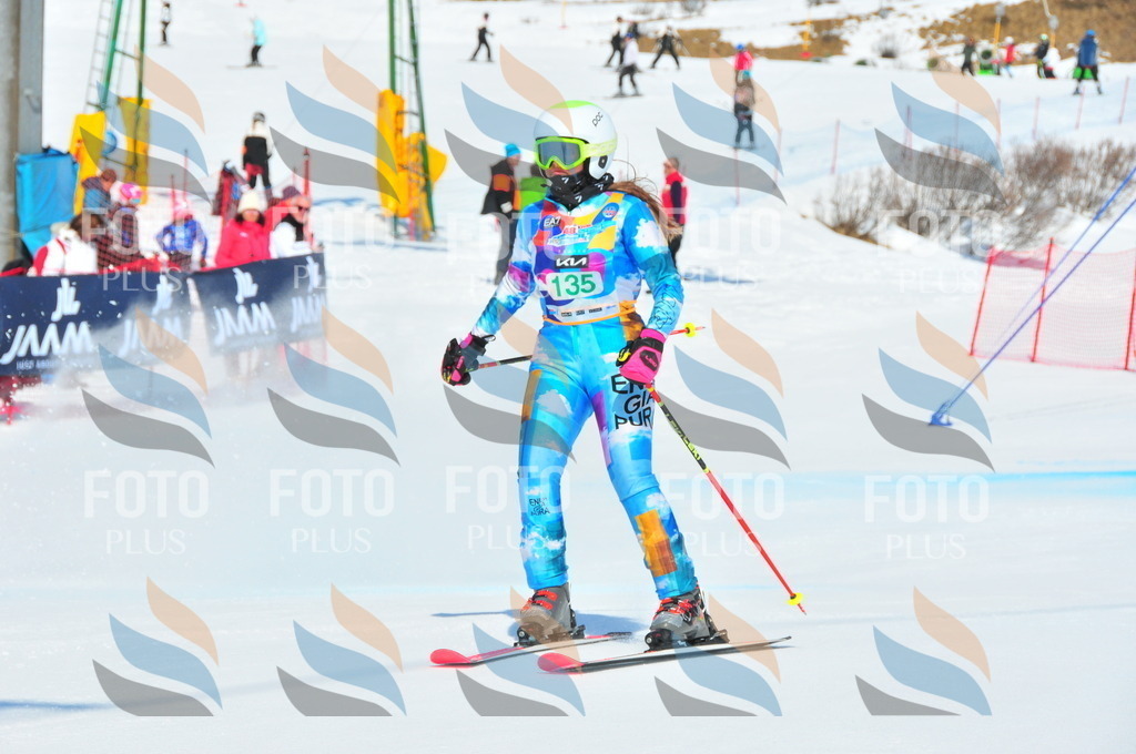 DSC_1116 | holidayphoto