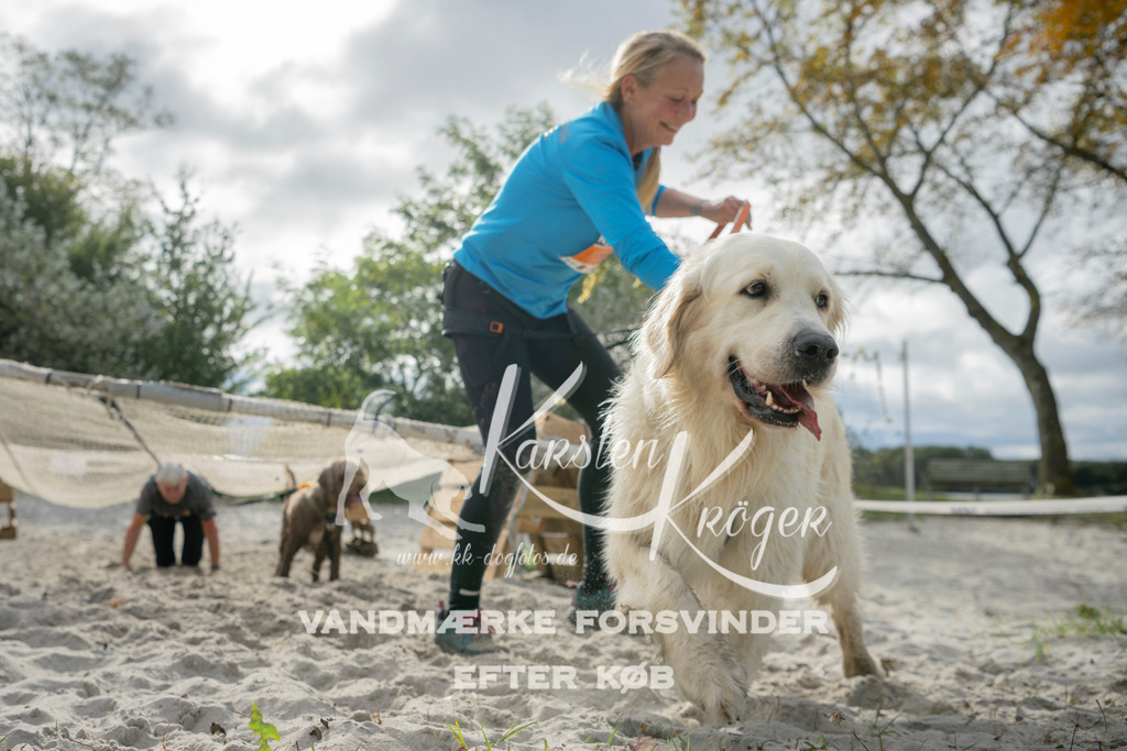 1203_ZZ90030 | kk-dogfotos