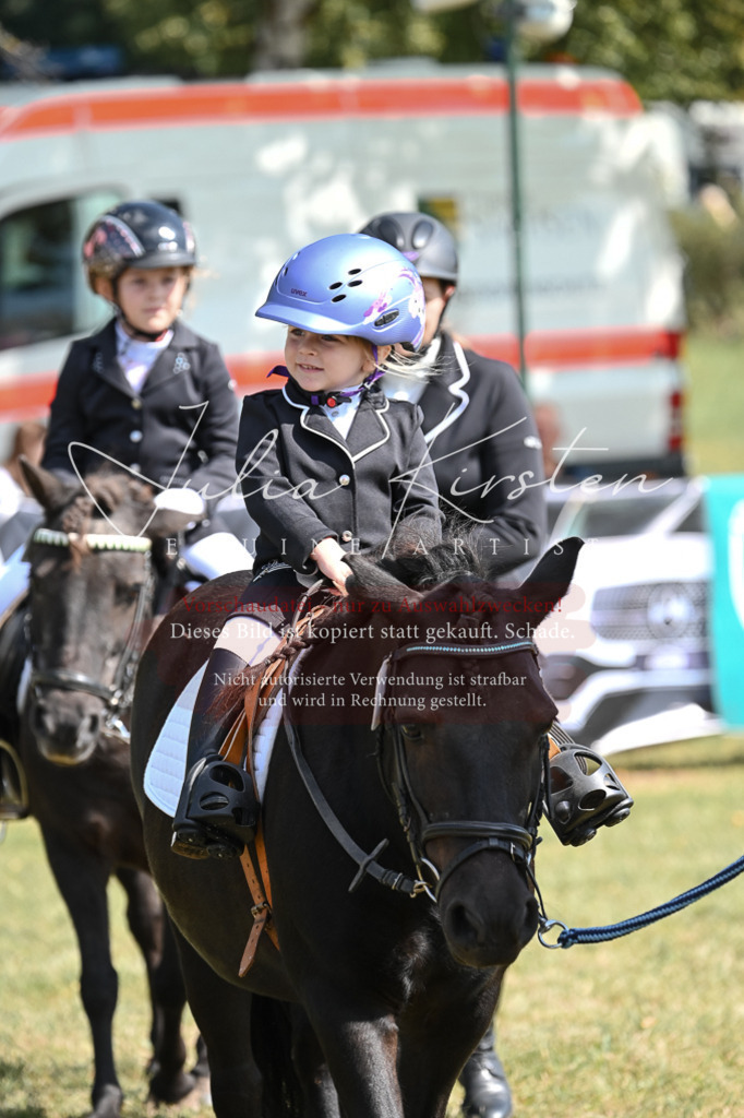 DSC_6792 | Pferde- und Turnierfotografie in Westsachsen. Pferdeportraits, Auftragszeichnungen und intuitive Kunst.