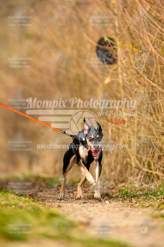 MompixPhotography_Schwabentrail2024_CC-107 | PayLife