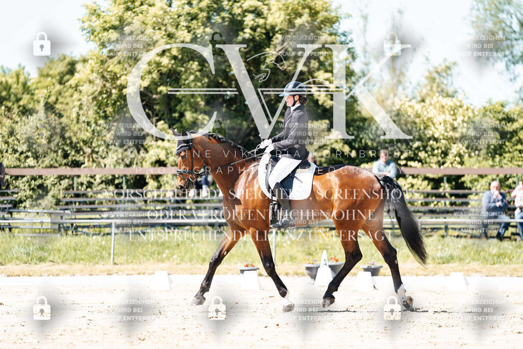CK905180 | Turnierfotografie Pferdefotografie Trier Rheinland-Pfalz Pferdesport Reitsport Tierfotografie Sportfotografie Pferdevideo Pferdevideografie Equestrianvideography equestrianphotography  - Realisiert mit Pictrs.com