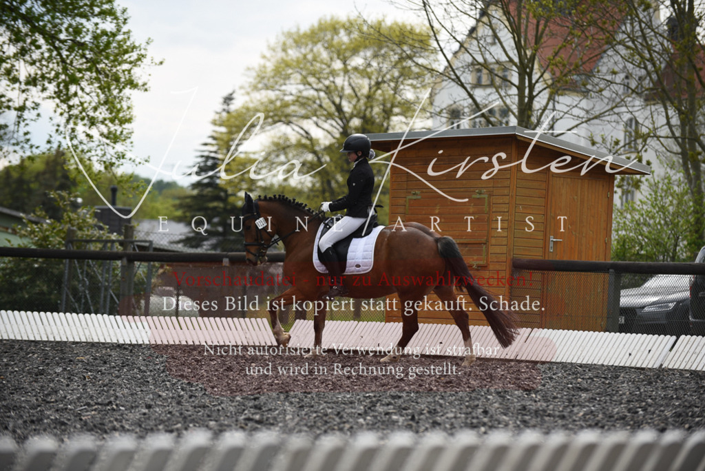 20230513_JK-Röhrsdorf-16-207 | Pferde- und Turnierfotografie in Westsachsen. Pferdeportraits, Auftragszeichnungen und intuitive Kunst.
