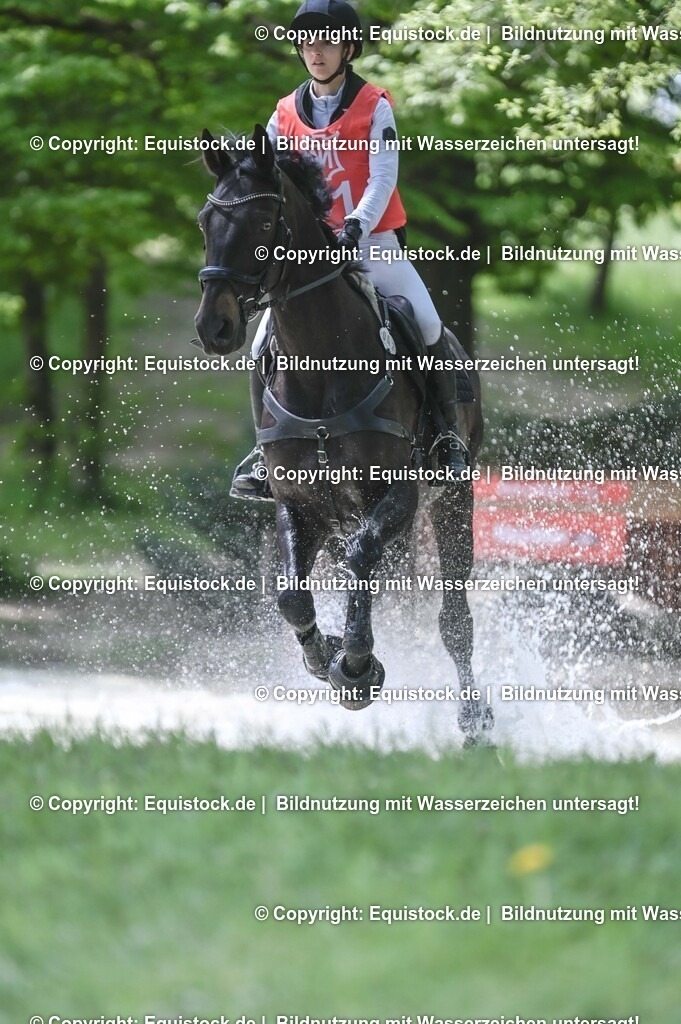 20250517_CCI2_Gelände_1686 | Foto: Thomas Hartig