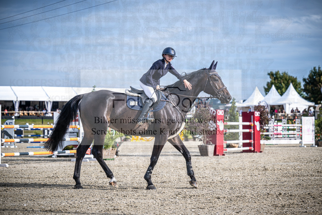 DOS_4431 | Entdecke hochwertige Reitturnierfotos von Foto Oger. Professionell, emotional und authentisch – jetzt Lieblingsmomente im Shop bestellen.Deutschlandweite Turnierfotografie. - Realisiert mit Pictrs.com