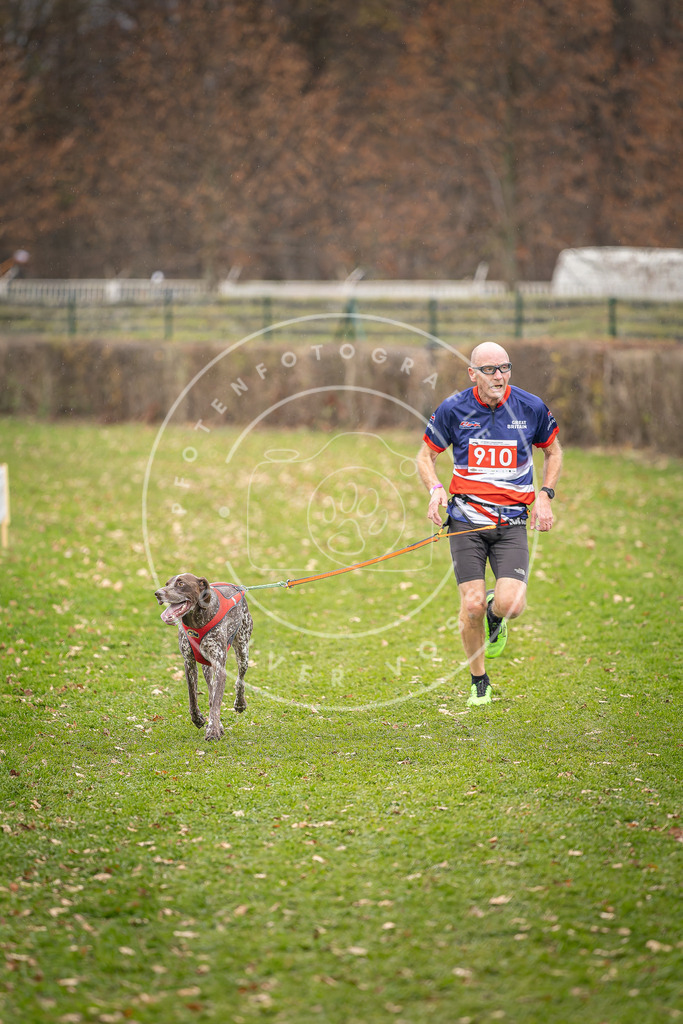 CaniXpix_DV3A7055 | Hundefotografie, Tierfotograf, Pfotenfotografie, Fotoshooting Hund, Hunde Portrait, Hundesport, Hundeportraits, Heideshooting, Hunde, Sportfotograf, Hundefotograf, Turnierhundsport, THS,  - Realisiert mit Pictrs.com