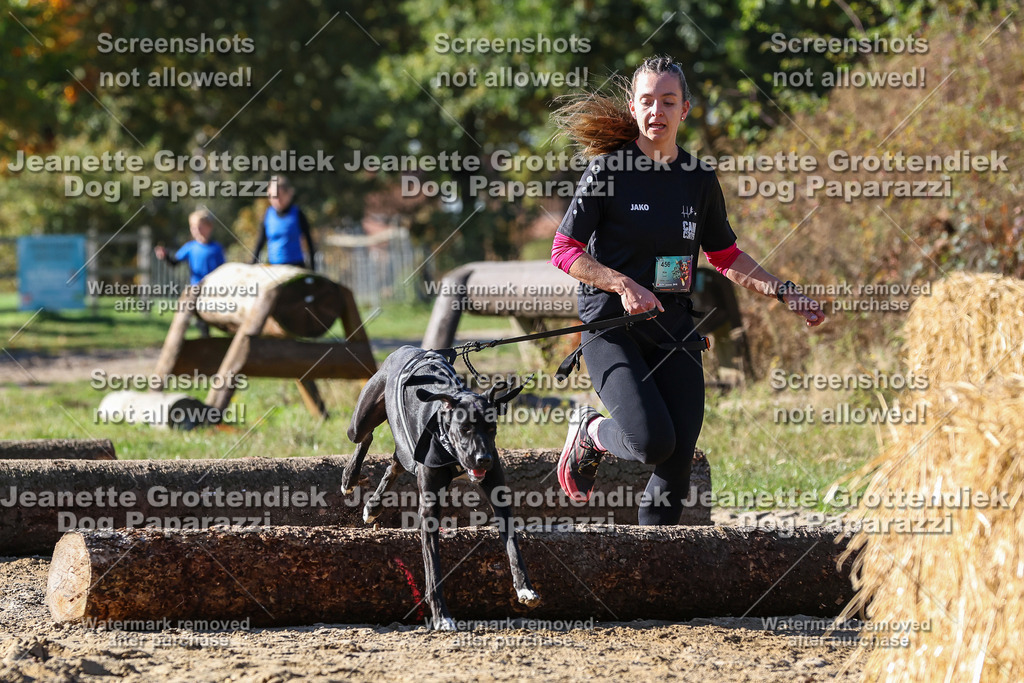 Dog Paparazzi - Strongdog 10-25-2881 | Dog Paparazzi Jeanette Grottendiek Fotografie & Videografie - Realisiert mit Pictrs.com