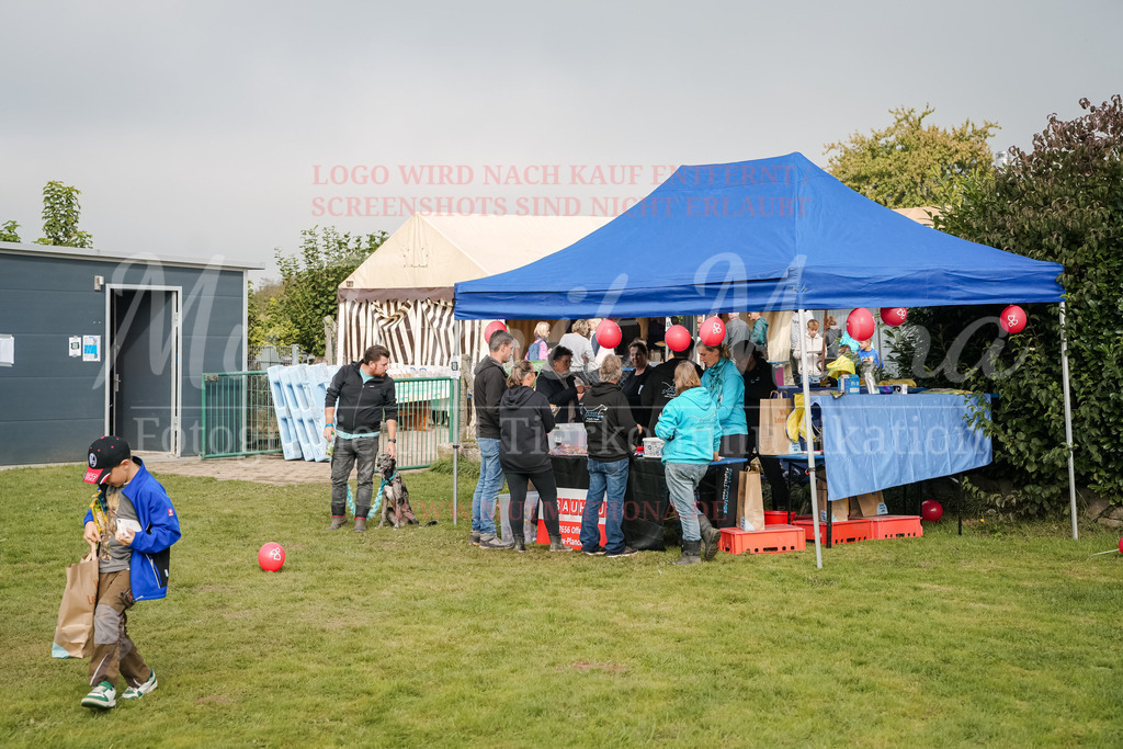 20250928_Hunderennen-348 | MuT (Mensch und Tier) mit Mona - Fotografie und Tierkommunikation - Realisiert mit Pictrs.com