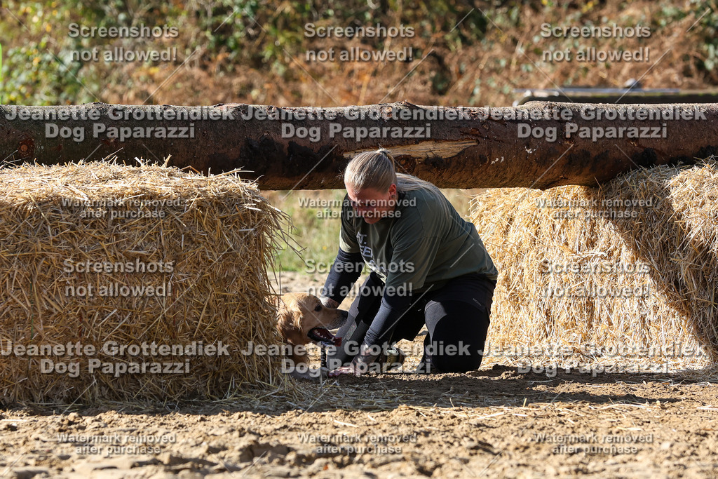 Dog Paparazzi - Strongdog 10-25-4784 | Dog Paparazzi Jeanette Grottendiek Fotografie & Videografie - Realisiert mit Pictrs.com