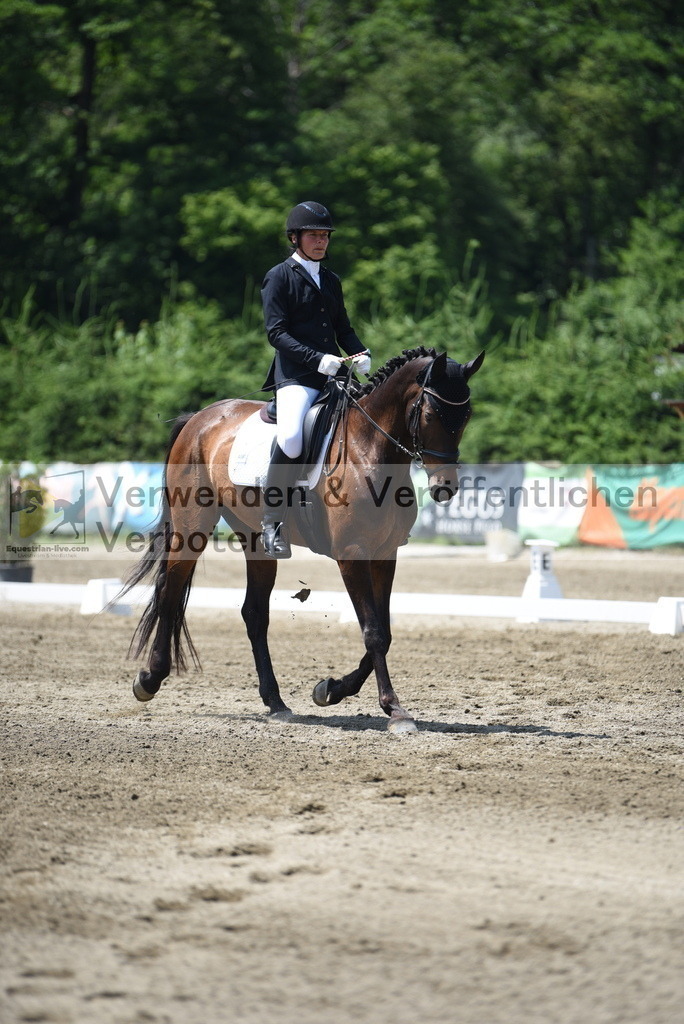 DSC_0116 | equestrian-live-com