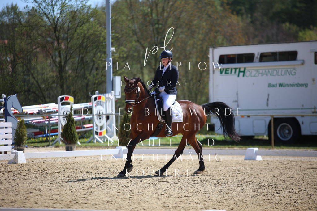 IMGT1616 | pl-fotografie