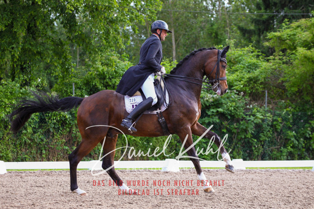 DKP41774 | Deine Turnierfotos vom Reitturnier online kaufen: Dressur, Springen & Siegerehrung. Professionelle Pferdefotografie aus dem Rheinland – als Download & Print.Alternative: Turnierfotograf für den Pferdesport: Finde deine Fotos von Dressur- und Springturnier