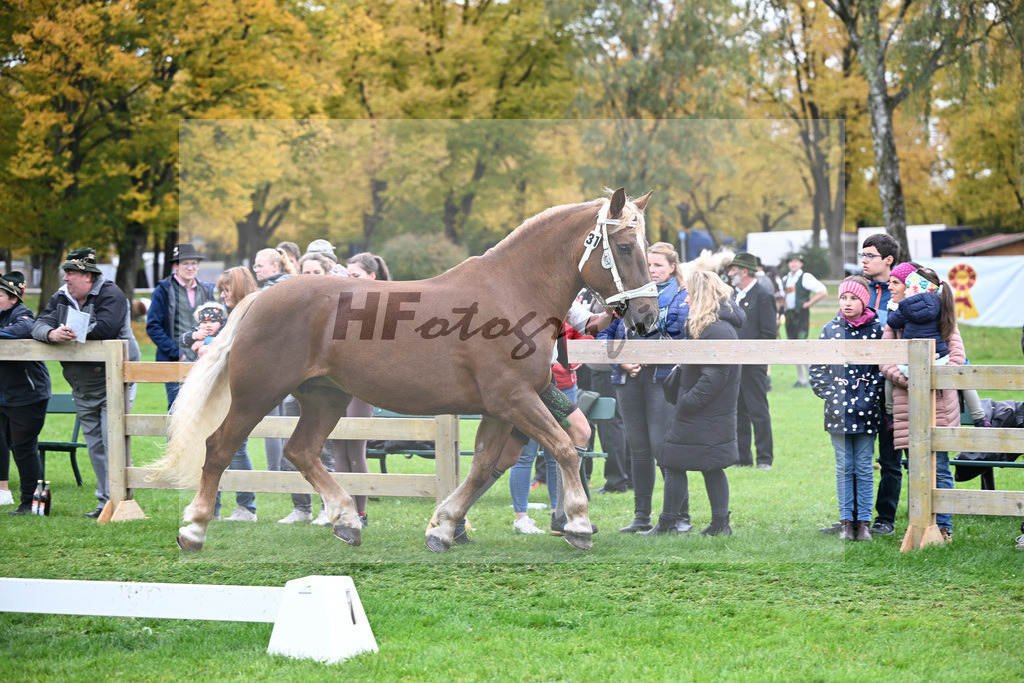 Kat-Nr. 31 Heleni v. Sultan_Hoeck_41250772 | hf-fotografie - Realizzato con Pictrs.com