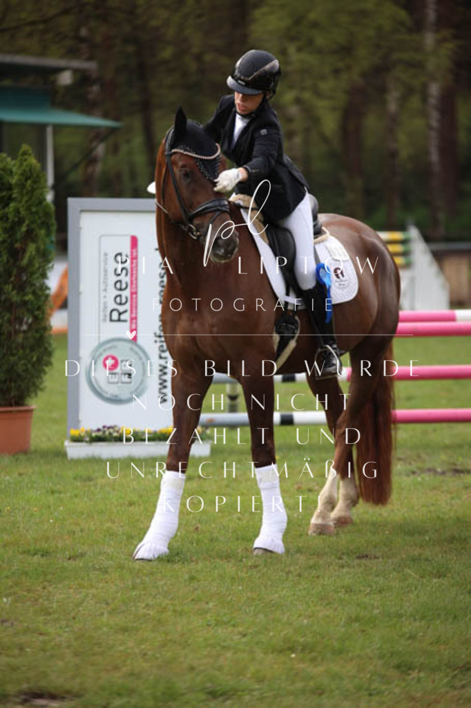 IMGT3437 | pl-fotografie