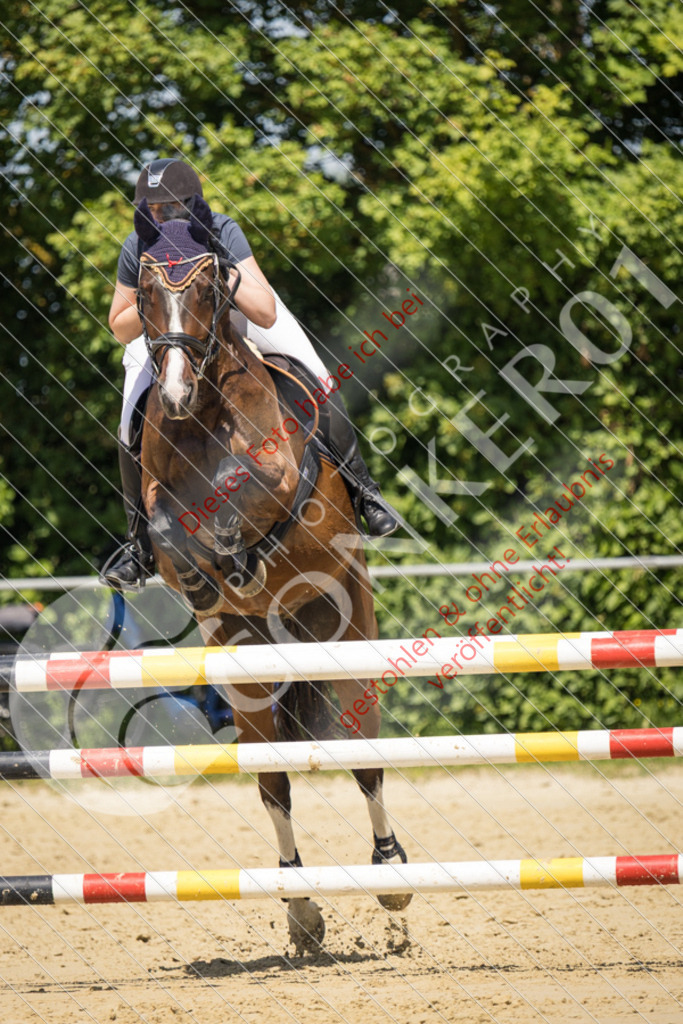 IMG_9578 | Sport-, Event- und Tierfotos in Profiqualität. Einfach auswählen, bestellen und herunterladen. Dein Moment – perfekt festgehalten.