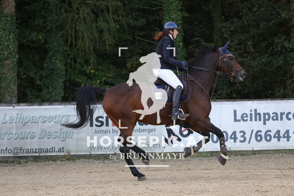 0P6A1798 | Willkommen bei Brunnmayr - Design & Fotografie – Ihrem Spezialisten für Reitturniere und Pferdeveranstaltungen in Oberösterreich, Salzburg und Bayern! Seit über 17 Jahren sind wir leidenschaftlich dabei.