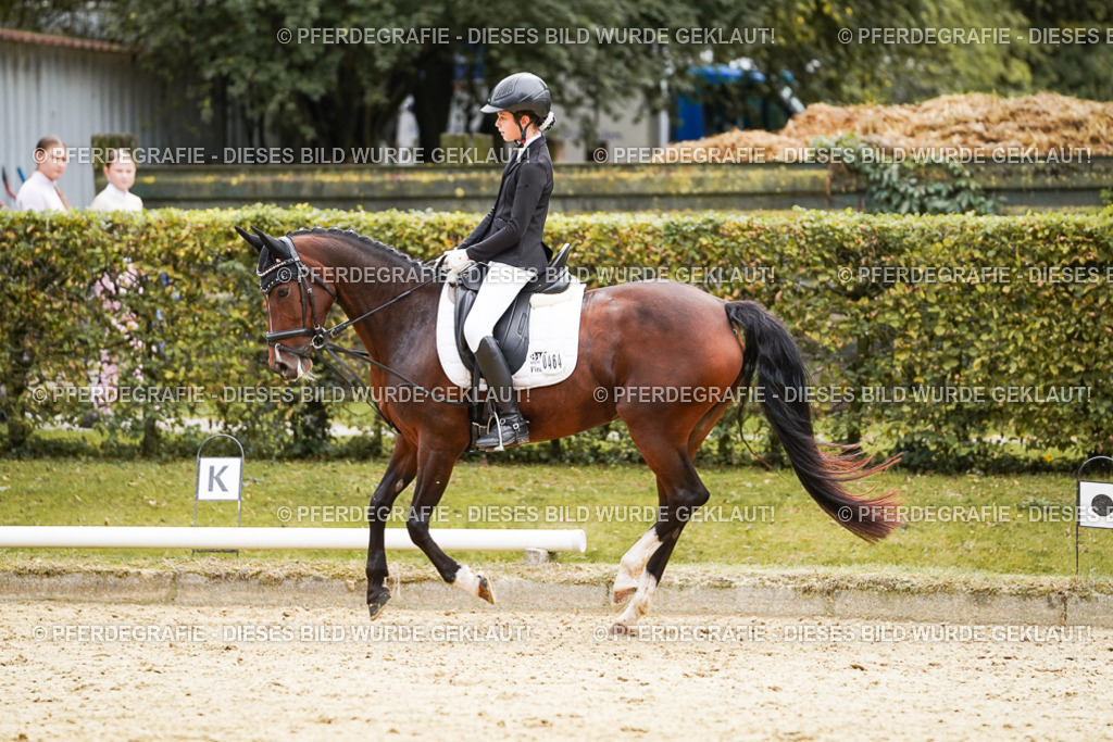 DSC09593 | Pferdegrafie