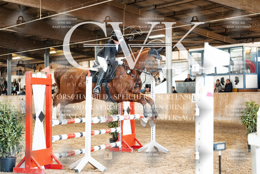 CK905058 | Turnierfotografie Pferdefotografie Trier Rheinland-Pfalz Pferdesport Reitsport Tierfotografie Sportfotografie Pferdevideo Pferdevideografie Equestrianvideography equestrianphotography  - Realized with Pictrs.com