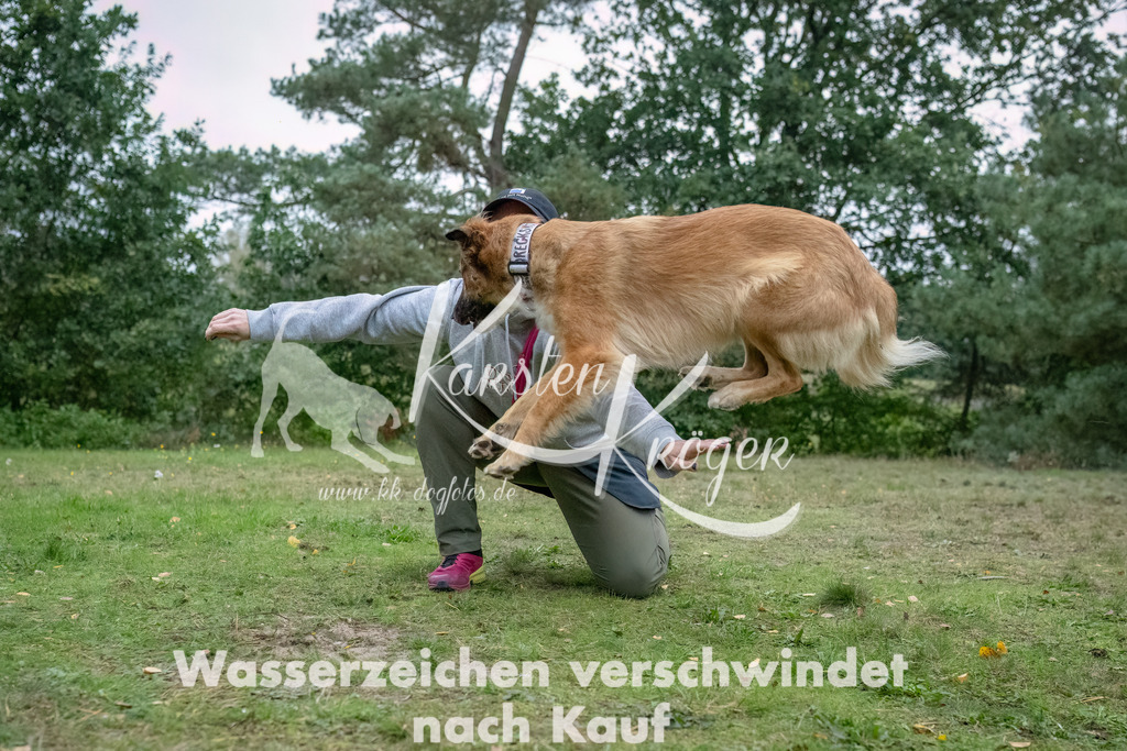 1713_ZZ91217-3-Bearbeitet | kk-dogfotos
