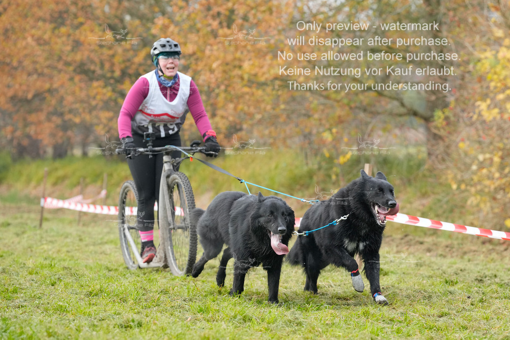 Visbeck_Sa_DS2DR2-146 | stephaniefillaphotographie - Realisiert mit Pictrs.com