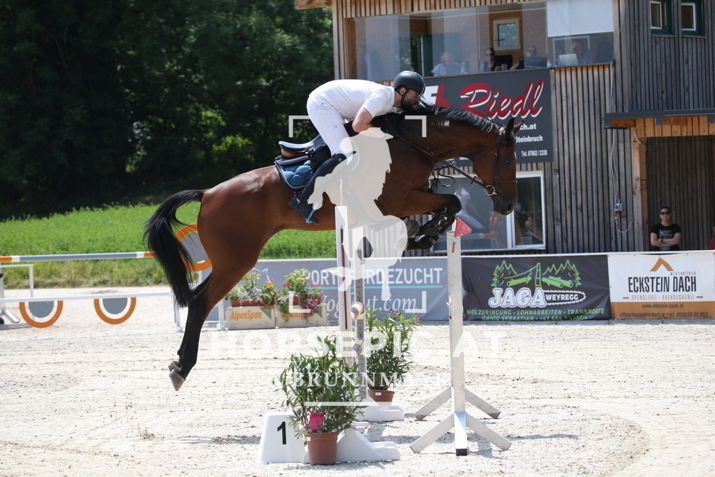 DL2Q2298 | Willkommen bei Brunnmayr - Design & Fotografie – Ihrem Spezialisten für Reitturniere und Pferdeveranstaltungen in Oberösterreich, Salzburg und Bayern! Seit über 17 Jahren sind wir leidenschaftlich dabei.