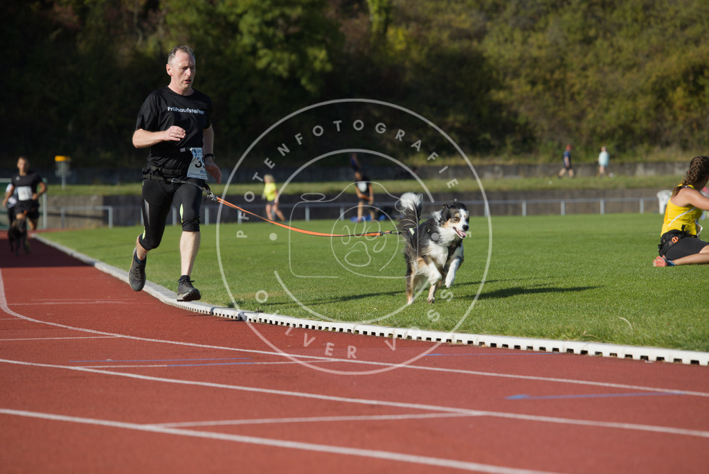 0L8A0019 | Hundefotografie, Tierfotograf, Pfotenfotografie, Fotoshooting Hund, Hunde Portrait, Hundesport, Hundeportraits, Heideshooting, Hunde, Sportfotograf, Hundefotograf, Turnierhundsport, THS,  - Realisiert mit Pictrs.com