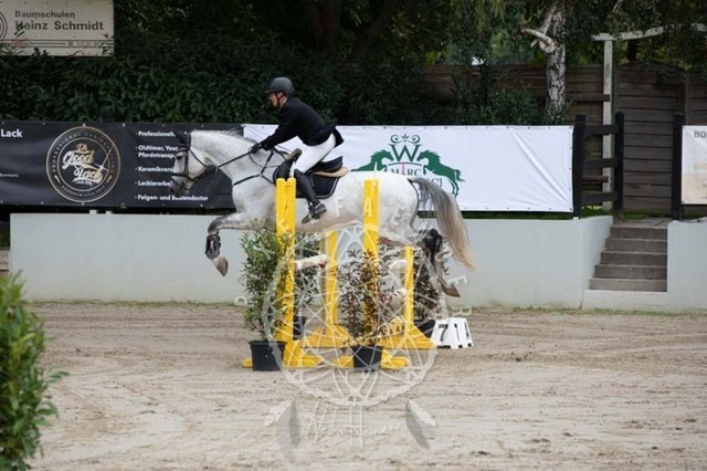 2B4A1591 | pixelfaenger - Realisiert mit Pictrs.com