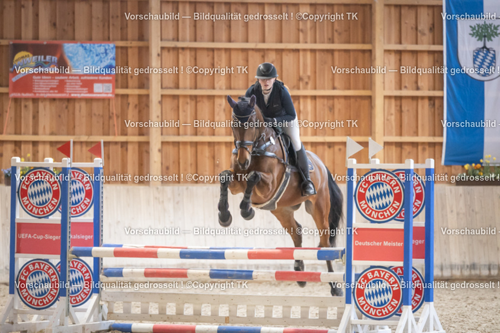 _D5A7789 | Emotionale Pferde- & People-Fotografie rund um Heidelberg, Leimen & Umgebung. Natürliche Fotos von Pferd, Mensch & Familie. Jetzt Termin sichern!